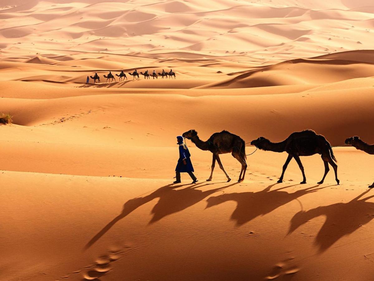 Merzouga Bohemian Camp 外观 照片